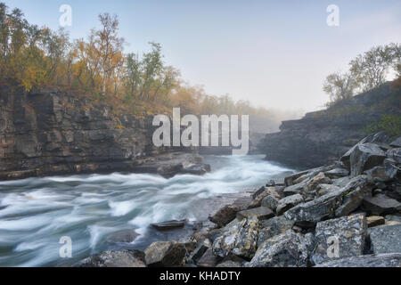 Fluss abiskojakka River fließt durch abisko Schlucht, die Flusslandschaft im Herbst am Morgen Nebel, Abisko Nationalpark, Schweden Stockfoto