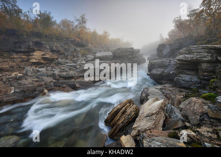 Fluss abiskojakka River fließt durch abisko Schlucht, die Flusslandschaft im Herbst am Morgen Nebel, Abisko Nationalpark, Schweden Stockfoto