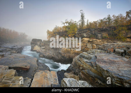 Fluss abiskojakka River fließt durch abisko Schlucht, die Flusslandschaft im Herbst am Morgen Nebel, Abisko Nationalpark, Schweden Stockfoto