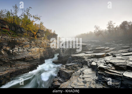 Fluss abiskojakka River fließt durch abisko Schlucht, die Flusslandschaft im Herbst am Morgen Nebel, Abisko Nationalpark, Schweden Stockfoto