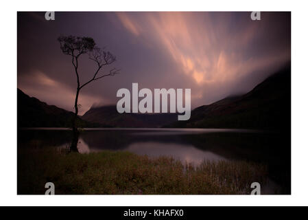 Ein einsamer Baum auf buttermere Lake, Lake District, Cumbria. England. Stockfoto