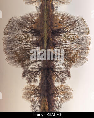 Abstrakte, gedreht, Reflexion riverbank Bäume auf dem ruhigen Wasser des Flusses, Erstellen perfekte natürliche Symmetrie, ähnlich Rorschach Test Bilder Stockfoto