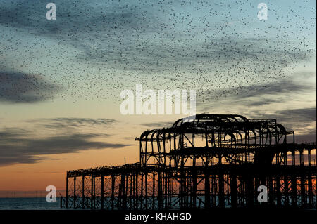 Murmuration über den Ruinen von Brightons West Pier an der Südküste von England. Eine Herde von Staren Sturzflug über die Pier bei Sonnenuntergang vor der Rastplätze. Stockfoto