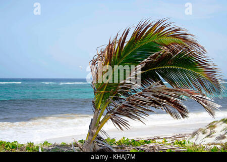 Silversands Beach; Silver Sands, Christ Church, Barbados Stockfoto