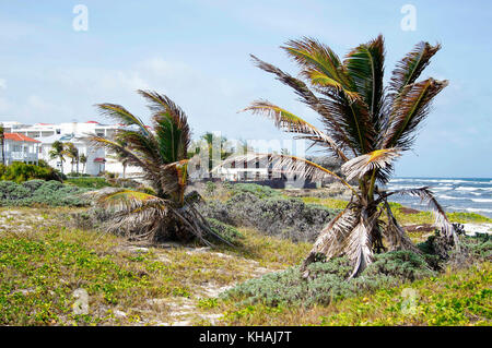 Silversands Beach; Silver Sands, Christ Church, Barbados Stockfoto