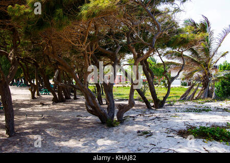 Silversands Beach; Silver Sands, Christ Church, Barbados Stockfoto