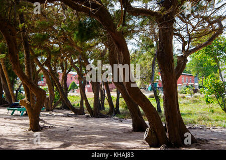 Silversands Beach; Silver Sands, Christ Church, Barbados Stockfoto