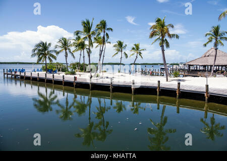 Florida Upper Florida Keys, Islamorada, Islamorada Fish Company, Meeresfrüchte, Restaurant Restaurants Essen Essen Essen Cafe Cafes, Little Basin Florida Bay, Waterfront Stockfoto