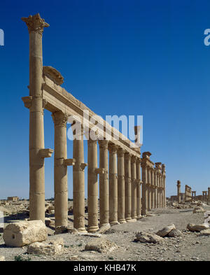 Syrien palmyra Stadt. Die Große Kolonnade. Römische Ruinen. tadmur, homs. Foto vor dem syrischen Bürgerkrieg. Stockfoto