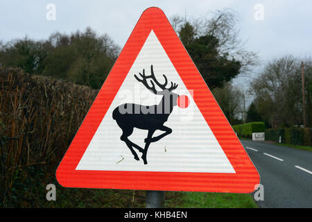 Ein Schild in der Nähe von Ludlow, UK, Warnung der Hirsche Kreuzung hat eine reflektierende rote Nase hinzugefügt es in eine Rudolph mit der roten Nase Rentier Zeichen zu drehen. Stockfoto
