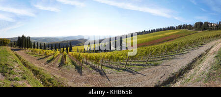 Panoramablick auf die Weinberge des Castello di Albola Immobilien in der Region Chianti, Toskana, Italien. Stockfoto