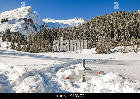 Wanderweg Wegweiser Sticks aus tiefem Schnee in den Bergen Winter Landschaft auf sonnigen Tag. Allgäu, Bayern, Deutschland. Stockfoto