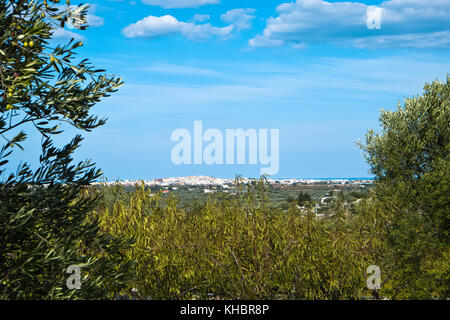 Panorama Aussicht von den Hügeln in Apulien Land. Stockfoto
