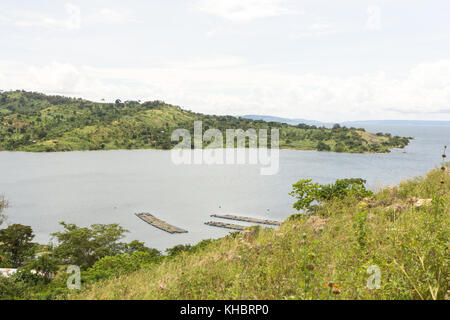 Lake Victoria sichtbar aus dem kleinen Dorf Busagazi in Uganda, Afrika. Stockfoto