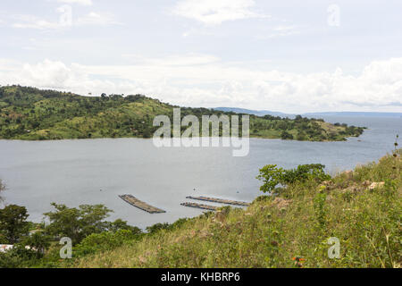 Lake Victoria sichtbar aus dem kleinen Dorf Busagazi in Uganda, Afrika. Stockfoto