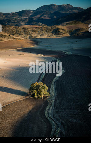 Felder und Hügel, in der Nähe von Algodonales, Andalusien, Spanien Stockfoto