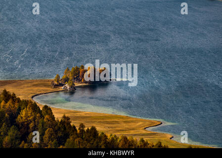 Herbstlärchen mit Silser See, Sils, Oberengadin, Schweiz Stockfoto