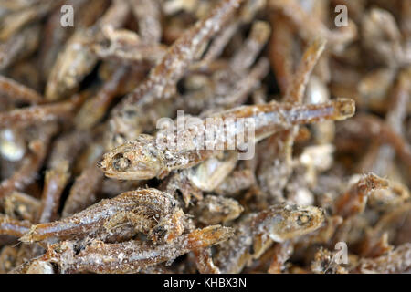 Getrocknete Sardellen in der Küche verwendet Stockfoto