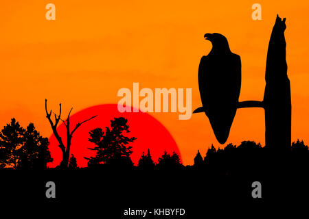 Die Silhouette eines Adlers thront auf einem blattlosen Baum. Der Raptor ist vor einem brennenden orange sky und eine riesige helle rote Sonne positioniert. Stockfoto