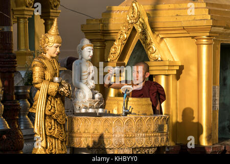 Buddhistischer Mönch in der Shwedagon Pagode in Yangon oder Rangun, Myanmar, Asien | buddhistischer Mönch an der Shwedagon Pagode in Yangon oder Rangun, mein Stockfoto