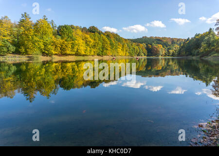 Herbst am Hennesee im Naturpark Sauerland - rothaargebirge bei Meschede, Hochsauerlandkreis, Nordrhein-Westfalen, Deutschland | Hennesee im Herbst, Stockfoto