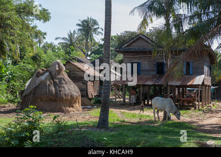 Ländliche Umgebung: Ein typisches Stelzenhaus in Ta Chet Dorf, Somroang Yea Kommune, Puok Bezirk, Siem Reap Provinz, Kambodscha Stockfoto