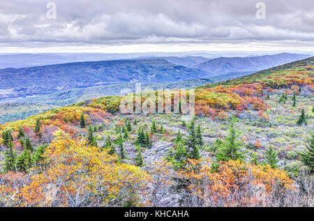 Morgen dark sunrise mit blauem Himmel und Goldgelb orange Herbst Laub in Dolly Grassoden, Felsen, West Virginia mit Blick auf Berge, Stockfoto