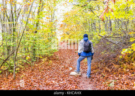 Junge Mann zu Fuß auf Wanderwegen durch bunte orange Laub Herbst Herbst Wald mit vielen trockenen Blätter auf dem Weg in West Virginia gefallen Stockfoto