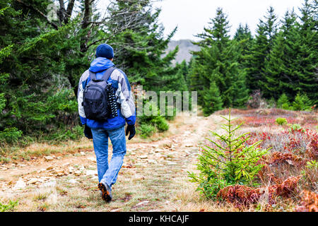 Wanderweg durch bunte rote Laub Herbst Herbst Wald mit grünen dunklen Pinien auf Pfad in West Virginia und junger Mann Wandern Wanderer Stockfoto