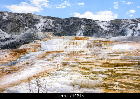 Farbpalette Frühling, fällt, Travertin Terrasse, Mammoth Hot Springs, Yellowstone Park, USA Stockfoto