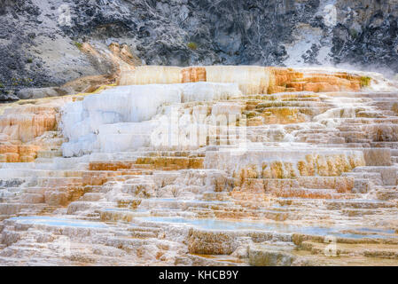 Farbpalette Frühling, fällt, Travertin Terrasse, Mammoth Hot Springs, Yellowstone Park, USA Stockfoto