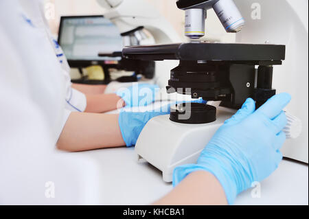 Ein Arzt oder Wissenschaftler untersucht Bakterien im Mikroskop Stockfoto