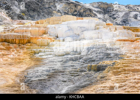 Farbpalette Frühling, fällt, Travertin Terrasse, Mammoth Hot Springs, Yellowstone Park, USA Stockfoto