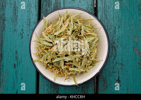 Metallschale von Kalk Linde, Tilia Blätter und Blüten als pflanzliche Heilmittel, häusliche Medizin still life Konzept Stockfoto