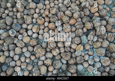Fülle von walnüssen auf einem Haufen, in der Nähe Stockfoto