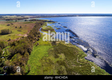 Florida, Kenansville, Cypress Lake, Wasser, Ufer, Bäume, Luft über der Vogelperspektive oben, Besucher reisen Reise touristischer Tourismus Wahrzeichen landm Stockfoto