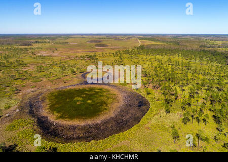 Florida, Kenans, Lake Marian Highlands, Three Lakes Wildlife Management Area, Luftaufnahme von oben, USA USA USA Amerika Nordamerika, FL1710 Stockfoto