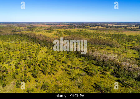 Florida, Kenans, Lake Marian Highlands, Three Lakes Wildlife Management Area, Luftaufnahme von oben, USA USA USA Amerika Nordamerika, FL1710 Stockfoto