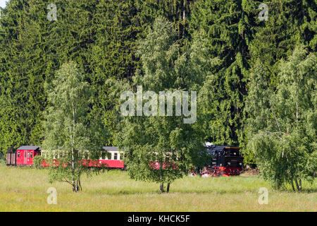 Harzer Schmalspurbahn Selketalbahn Stockfoto