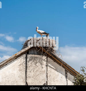 Südliche Georgien, Samtskhe - Javakheti. Die Dörfer mit Armenien mit Störchen gibt es zuhauf. Stockfoto