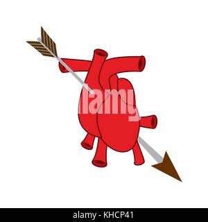 Herz und Pfeil Symbol der Liebe. anatomische Herz. Valentines Tag. 14 Februar. Vector Illustration. Stock Vektor