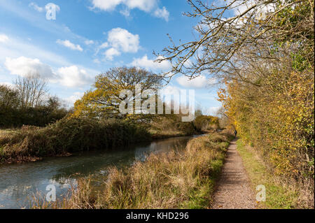 Herbst in hampshire England basingstoke Kanal mit Fußweg Stockfoto