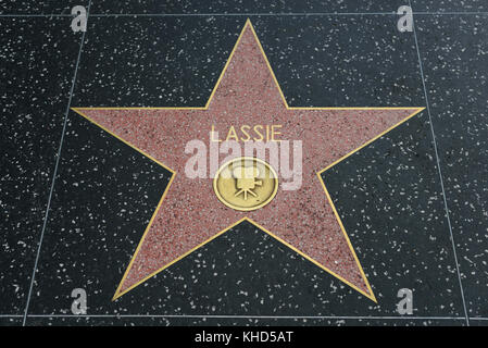 HOLLYWOOD, CA - DEZEMBER 06: Lassie-Star auf dem Hollywood Walk of Fame in Hollywood, Kalifornien am 6. Dezember 2016. Stockfoto