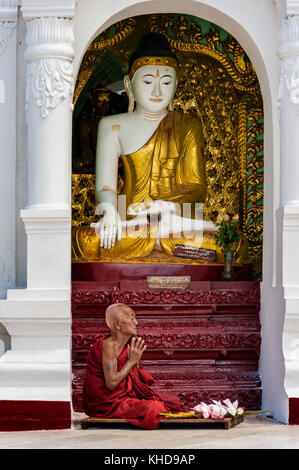 Shwedagon Pagode, Yangon, Myanmar - Oct 21, 2017: Ein buddhistischer Mönch betet zum Herrn Buddha mit Lotus Blumen für bietet. Stockfoto