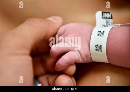 Kleine neugeborene Babyhände Stockfoto