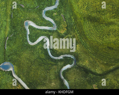 Antenne Landschaft der Windungen des Flusses im grünen Feld, Blick von oben auf die schöne Natur Textur aus drohne