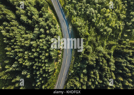 Landschaftlich schöne Straße in den Wald, Luftaufnahme von Drone - Hintergrund Stockfoto
