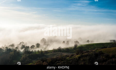 Nebel über der Bäume in die Hügel des Oltrepò Pavese, in Italien Stockfoto