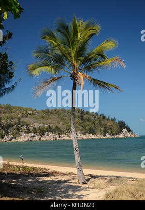 Picnic Bay Jetty magnetic island Queensland. Australien Stockfoto