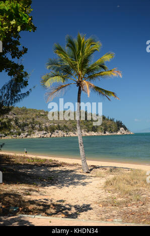 Picnic Bay Jetty magnetic island Queensland. Australien Stockfoto